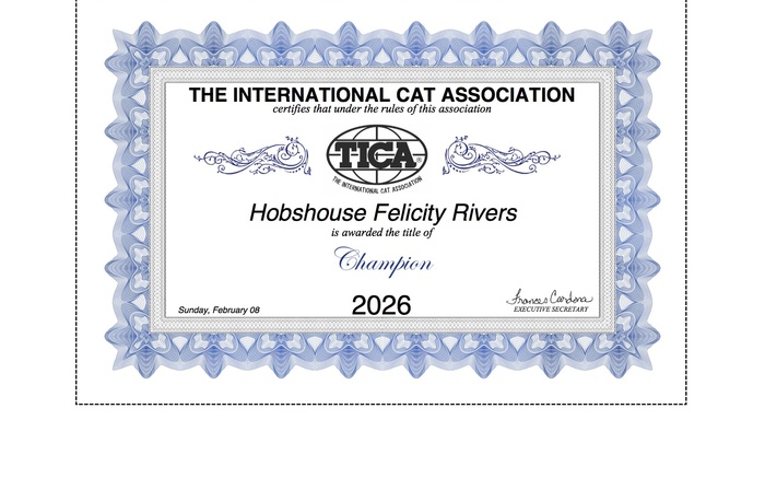 Fliss is a TICA Champion