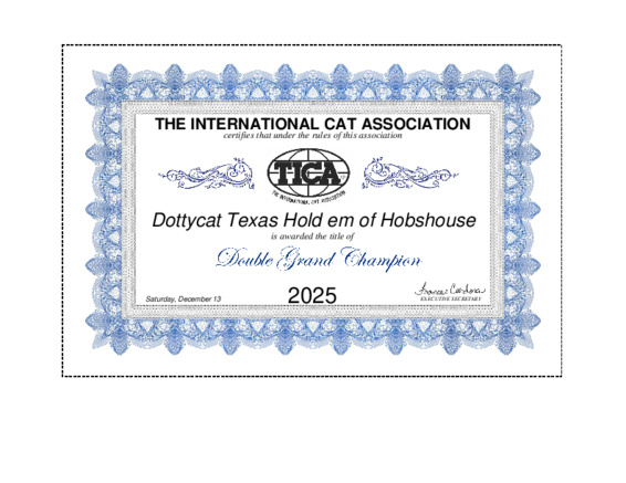 Texas is a Double Grand Champion!