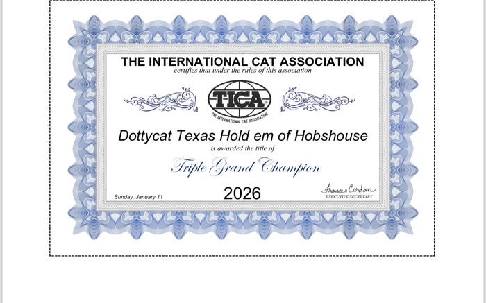 Texas is a Triple Grand Champion