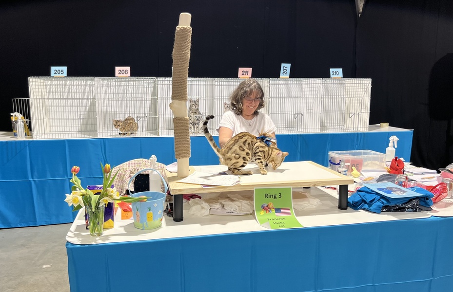 ThamesTica Show News 4-5 April 2026