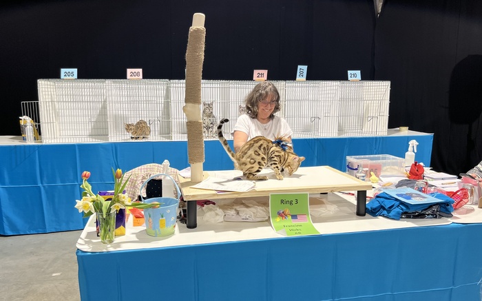 ThamesTica Show News 4-5 April 2026