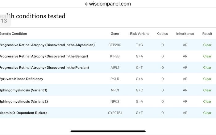 What is Polycystic Kidney Disease or PKD?