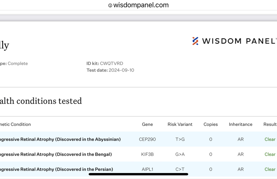 What is Progressive Retinal Atrophy or PRA-b?