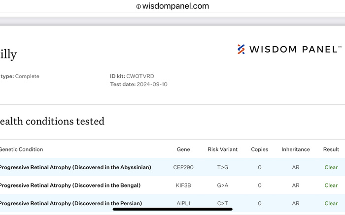 What is Progressive Retinal Atrophy or PRA-b?