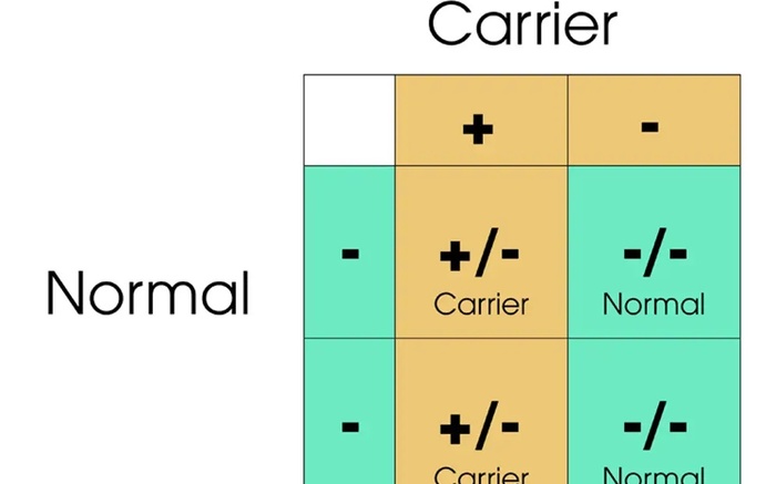 What is Pyruvate Kinase Deficiency (PKdef) in cats?